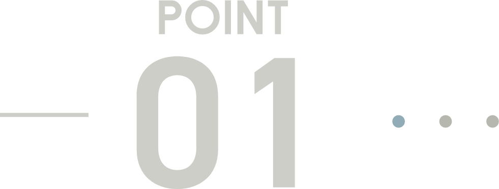 POINT 01